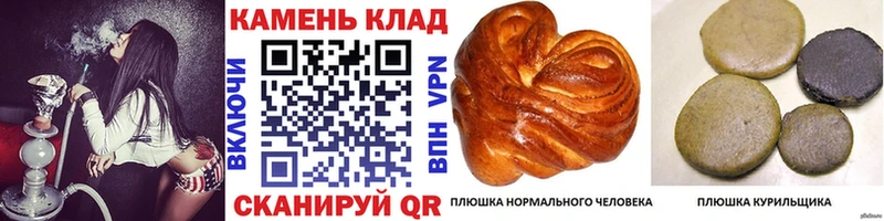 где можно купить   Чайковский  Гашиш Cannabis 