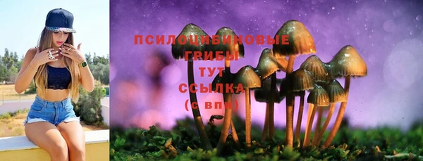 стафф Алексин
