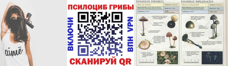 Псилоцибиновые грибы мухоморы  купить наркотики цена  Чайковский 