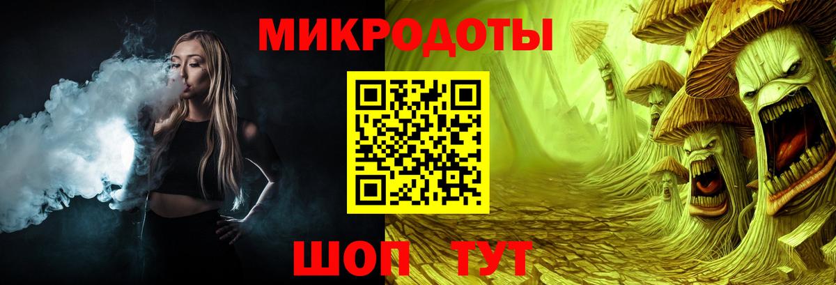 Галлюциногенные грибы Psilocybe Чайковский